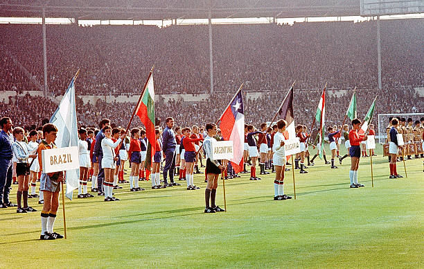 河南队凭借 河南队凭借