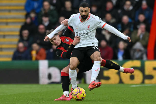 适应能力 适应能力