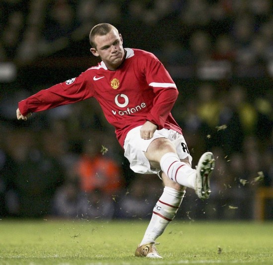 代谢率是影 代谢率是影